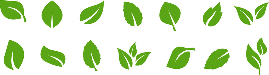 Collection of green leafs.