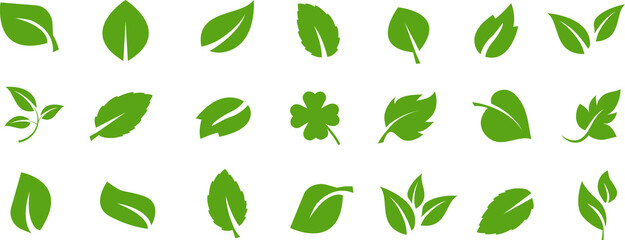 Collection of green leafs.