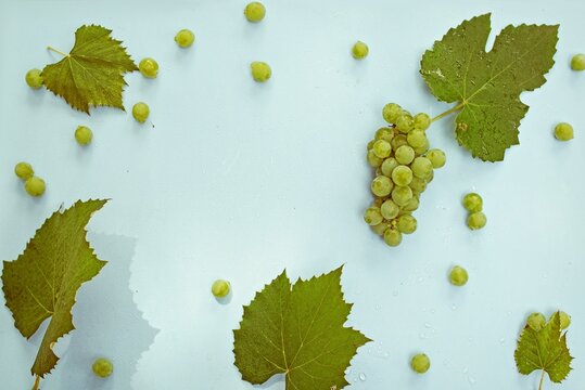 Uvas verdes con hojas de parra