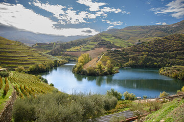 Naklejka na ściany i meble Landscape view of the beautiful douro river valley in Portugal