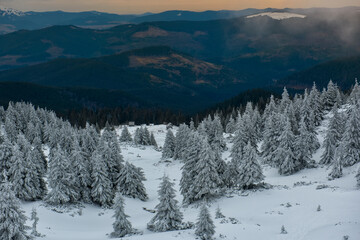 Winter beautiful mountain landscape with spruce forest in snow. A distant view of the blue mountains.