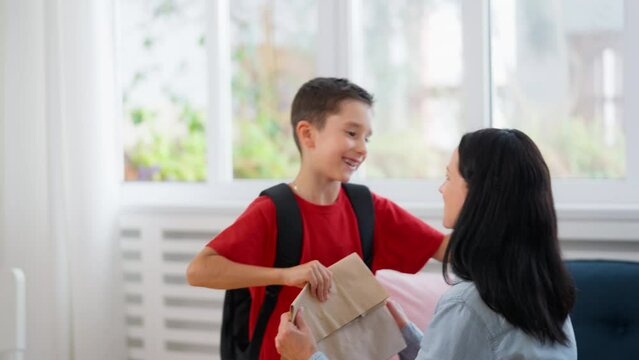 Caring Mom Giving Lunch To Her Little Son Before Going To School, Childhood