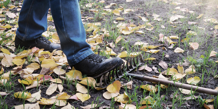 Male foot steps on a lying rake