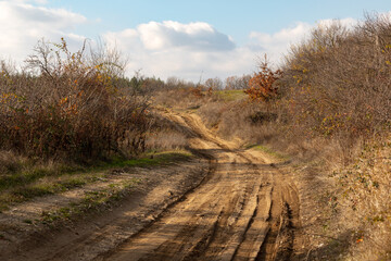 Sand road in the autumn field.