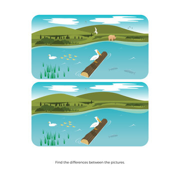 An activity to find the differences between two pictures for preschoolers. Vector design.