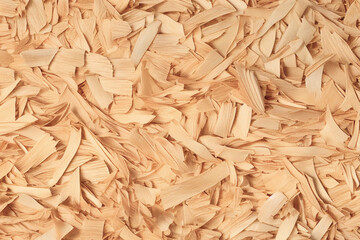 background sawdust and loose shavings