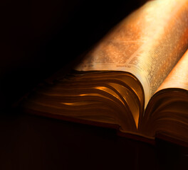 Still life from ancient book