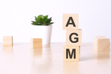 AGM - Annual General Meeting, wooden cubes and flower in a pot on background