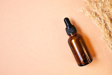 Glass dropper bottle and pampas grass on a beige background casts a shadow. Top view, space for text.