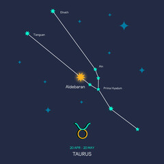 Obraz na płótnie Canvas TAURUS zodiac horoscope star constellation space symbol, horoscope night sky map. thin line sign art design vector illustration