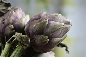 close up of purple artichoke heads