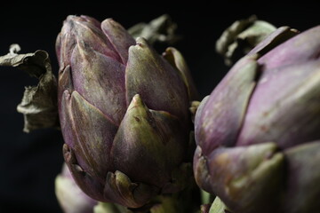 Obraz premium close up of purple artichoke heads