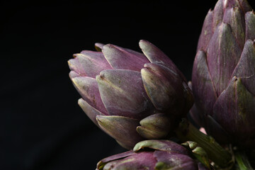 close up of purple artichoke heads