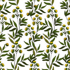 Natural botanical elements of medicinal tansy flowers hand drawn. Seamless pattern.