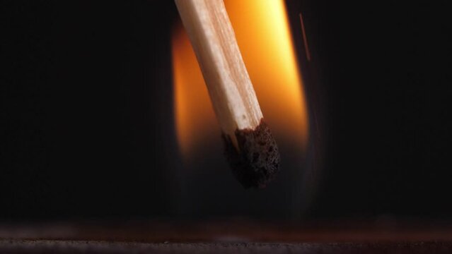 Light a match in the dark, closeup. Strike a matchstick
