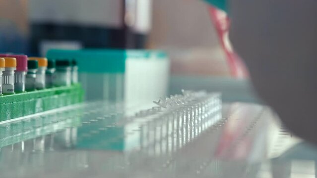 The scientist dropping the chemical solution in test tube in the laboratory experiment. Chemical and Oil concept