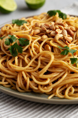 Homemade Asian Peanut Sauce Noodles on a Plate, side view. Close-up.