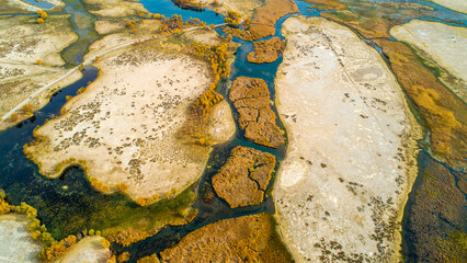 autumn forest and river
