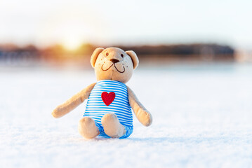 Toy Teddy bear sitting on the white snow background.Sunset forest winter blurred landscape.