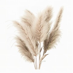 Pampas grass with on white background ,made with Generative AI