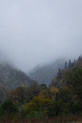 autumn and fog in the mountains. vertical photo. Photo wallpaper with mountain view, space for text