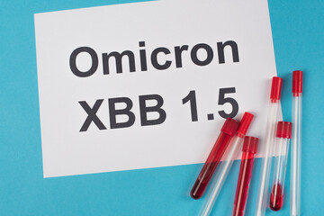 Fototapeta premium Top view of test tubes and cotton swabs near omicron xbb lettering on blue background.