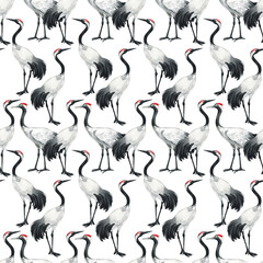 watercolor black-necked crane pattern. Watercolor cute animal. Hand painting postcard isolated white background. Watercolor hand drawn illustration.