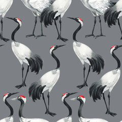 watercolor black-necked crane pattern. Watercolor cute animal. Hand painting postcard isolated grey background. Watercolor hand drawn illustration.
