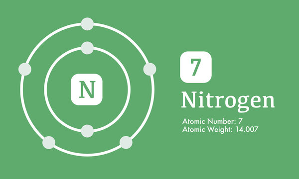 Illustration of atomic structure of Nitrogen (N 8) that shows Atomic mass and number element vector