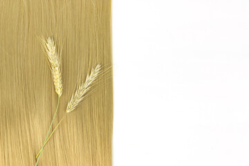 Braid hairstyle with sprigs of ripe wheat. Blond long hair close. Healthy hair. Warm light background.