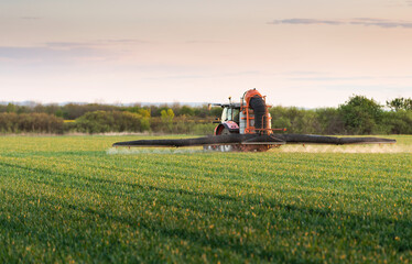 Tractor spraying pesticides wheat field.