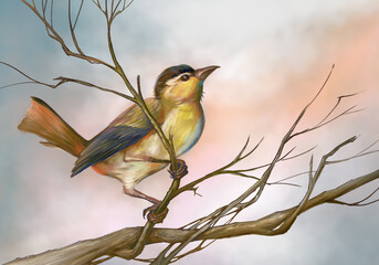 A lone bird on a branch without leaves and flowers. digital painting