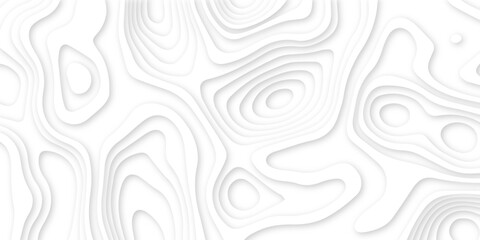 Abstract wavy line 3d paper cut white background. Topographic canyon geometric map relief texture with curved layers and shadow. Abstract realistic papercut decoration textured with wavy layers	
