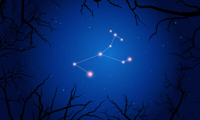 Vector illustration Monoceros constellation. Tree branches, dark blue starry sky