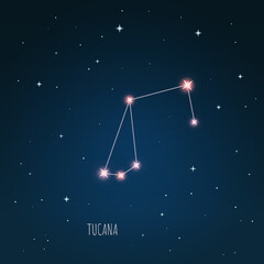 Obraz na płótnie Canvas Constellation scheme in starry sky. Open space. Vector illustration Tucana constellation through a telescope