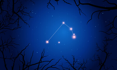 Vector illustration Microscopium constellation. Tree branches, dark blue starry sky