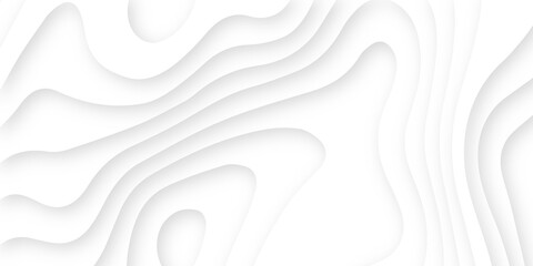 Abstract wavy line 3d paper cut white background. Topographic canyon geometric map relief texture with curved layers and shadow. Abstract realistic papercut decoration textured with wavy layers	
