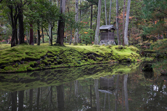 Autumn leaves at Saiho-ji temple, UNESCO World Heritage Site, Kyoto, Japan