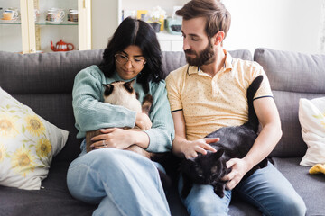 Couple spending time with adorable cats on sofa