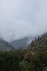 autumn and fog in the mountains. vertical photo. Photo wallpaper with mountain view, space for text