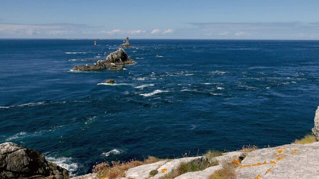 Envol de Go&eacute;land &agrave; la Pointe du raz