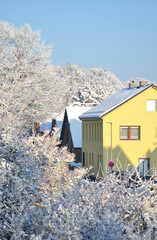 Verschneites Dorf im Winter, Winterlandschaft in Schleswig-Holstein, Norddeutschland - 563099656