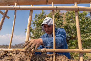 hands a man building a wall with reed and mud, bioconstruction