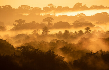 Sunrise above Amazon