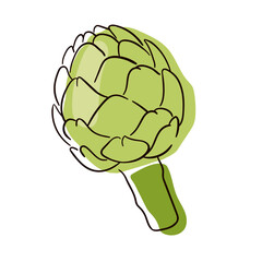 Fototapeta premium Artichoke line drawing. Flat colourful illustration of artichoke vector icon isolated on white background.