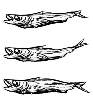 Dried Pollack, Korean traditional dried fish