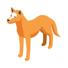 Isometric Dingo Illustration