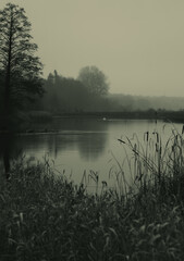 small pond on a cloudy day