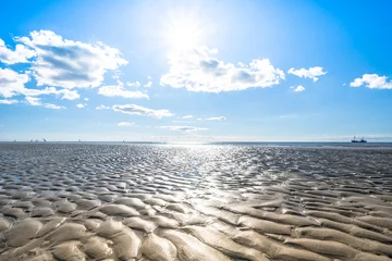 Photo sur Plexiglas Mer du Nord, Pays-Bas North Sea landscape