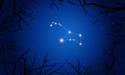 Obraz na płótnie Canvas Vector illustration Puppis constellation. Tree branches, dark blue starry sky